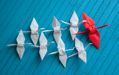 business leaders navigating growth